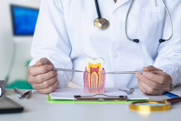 Best Emergency Dentist for Special Needs Patients in Olympia Fields, IL